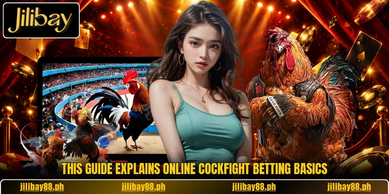 This guide explains online cockfight betting basics This guide explains online cockfight betting basics